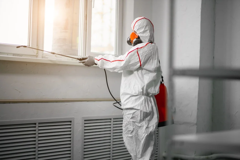 Professional mold remediation services in Mecca, IN